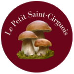 Ancien logo Le Petit Saint Cirguois